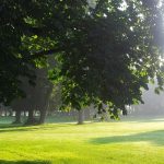 I più bei giardini da visitare in Campania