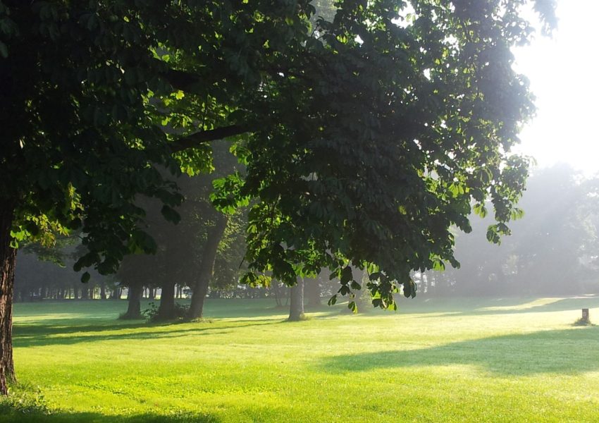 I più bei giardini da visitare in Campania